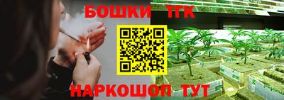 мдпв Кимры