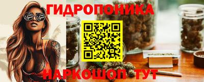мдпв Кимры